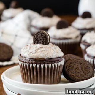 A cupcake and cookies on a plate.
