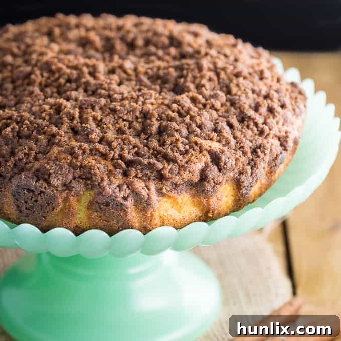 Streusel Coffee Cake - Another classic cake - for good reason! The crumbly cinnamon topping and the moist cake are the perfect pairing with a hot cup of coffee! This is a great make-ahead cake to have in the freezer for unexpected guests.