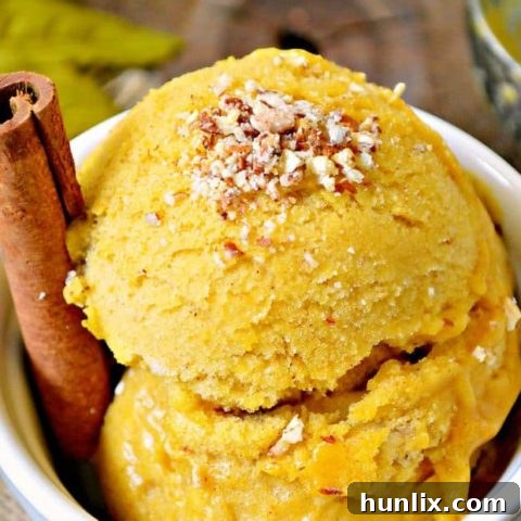 Pumpkin Pie Ice Cream