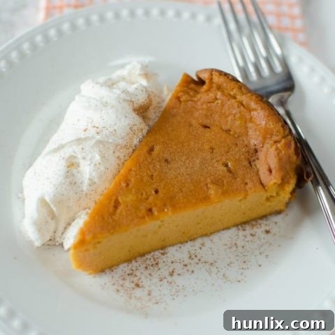 Crock Pot Pumpkin Pie Pudding Cake