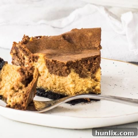 Chocolate Pumpkin Cheesecake