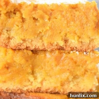 Pumpkin Gooey Butter Cake