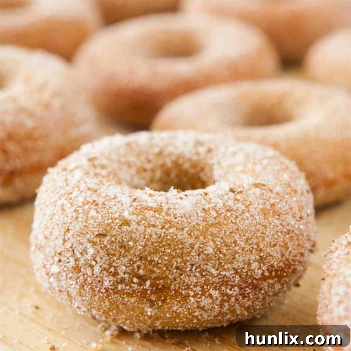 Pumpkin Donuts