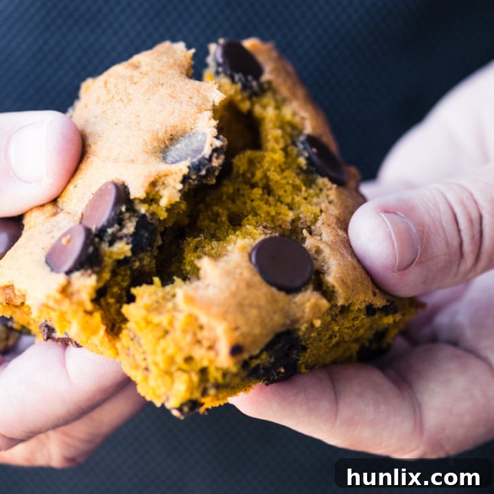 Pumpkin Chocolate Chip Blondies
