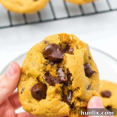 Soft and Chewy Pumpkin Chocolate Chip Cookies