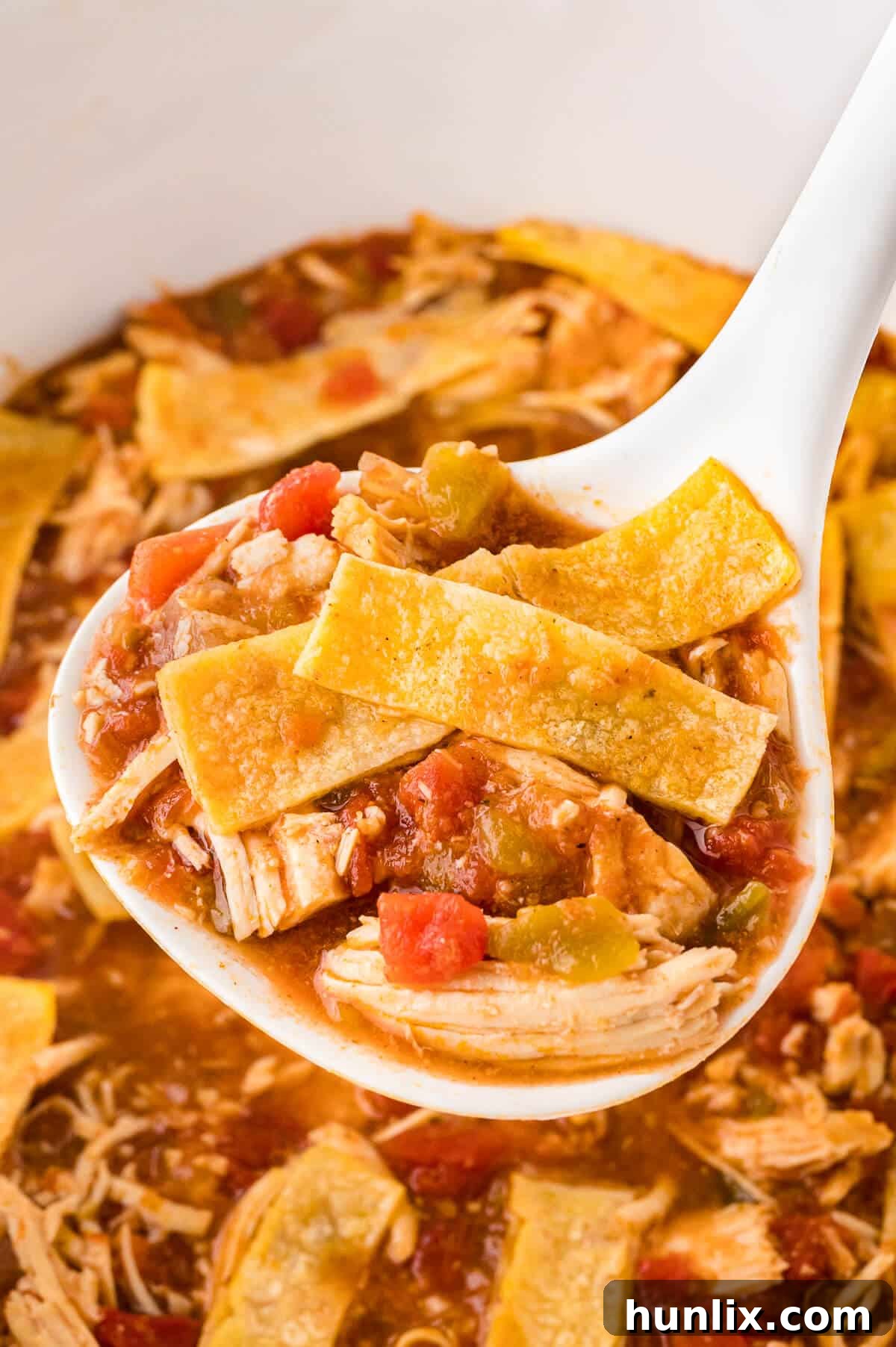 Fiesta Chicken Tortilla Soup 2 A ladle with delicious chicken tortilla soup, ready to serve.