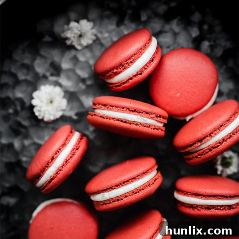 Dainty Red Velvet Macarons, a romantic and delicious dessert perfectly suited for Valentine's Day.