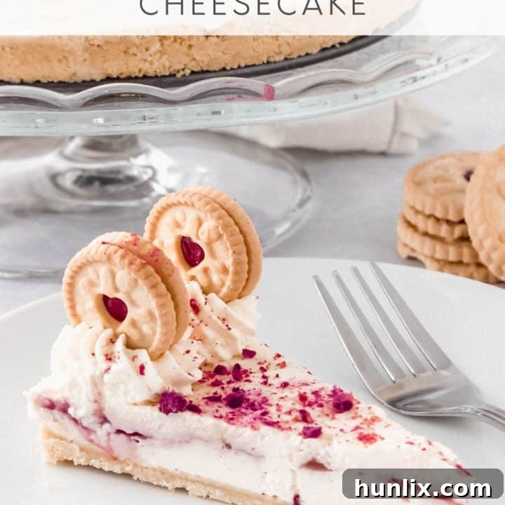No-Bake Jammie Dodger Cheesecake with vanilla and raspberry, silky smooth and rippled with sweet jam.