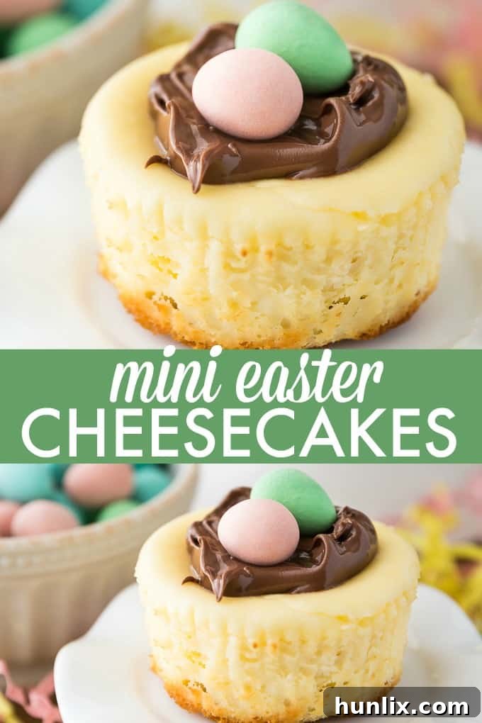 Festive Easter Cheesecake Bites 2 Mini Easter Cheesecakes - These individual cheesecakes are the perfect dessert to take to a potluck! Unlike a full-sized cheesecake, these mini delights don't need a water bath and are very easy to make!