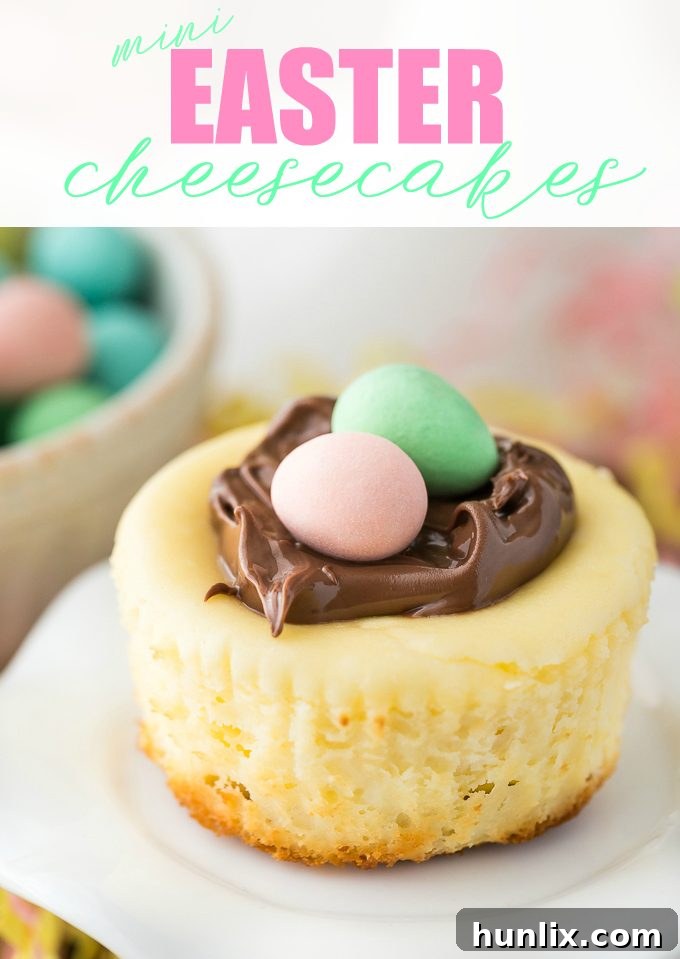Festive Easter Cheesecake Bites 3 Mini Easter Cheesecakes - These individual cheesecakes are the perfect dessert to take to a potluck! Unlike a full-sized cheesecake, these mini delights don't need a water bath and are very easy to make!