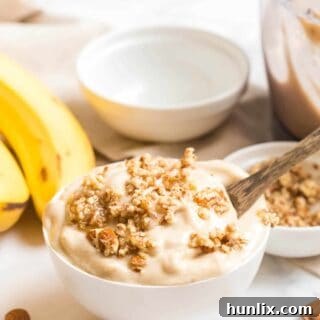Dairy Free Banana Ice Cream in a bowl with a spoon.