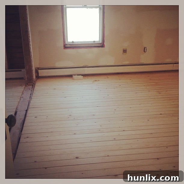 Close-up of Professionally Sanded Hardwood Floor