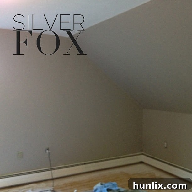 Walls Painted in Benjamin Moore Silverfox - Master Bedroom