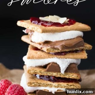 Delicious Chocolate Raspberry S'mores