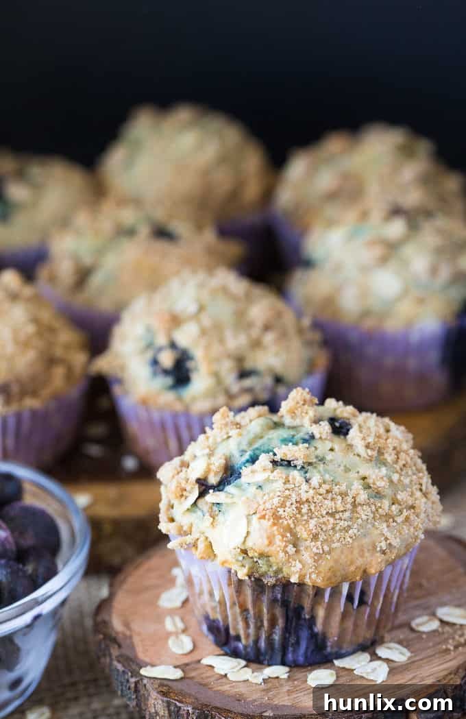 Crumb-Topped Blueberry Muffins 2 Blueberry Streusel Muffins - Cinnamon sugar topping sets these blueberry muffins apart! Packed with sweet blueberries and topped with a crunchy oat topping, these muffins are delicious fresh out of the oven with a little butter.
