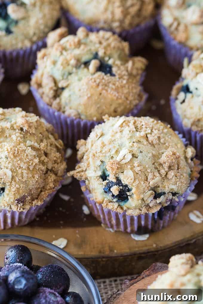 Crumb-Topped Blueberry Muffins 4 Blueberry Streusel Muffins - Cinnamon sugar topping sets these blueberry muffins apart! Packed with sweet blueberries and topped with a crunchy oat topping, these muffins are delicious fresh out of the oven with a little butter.