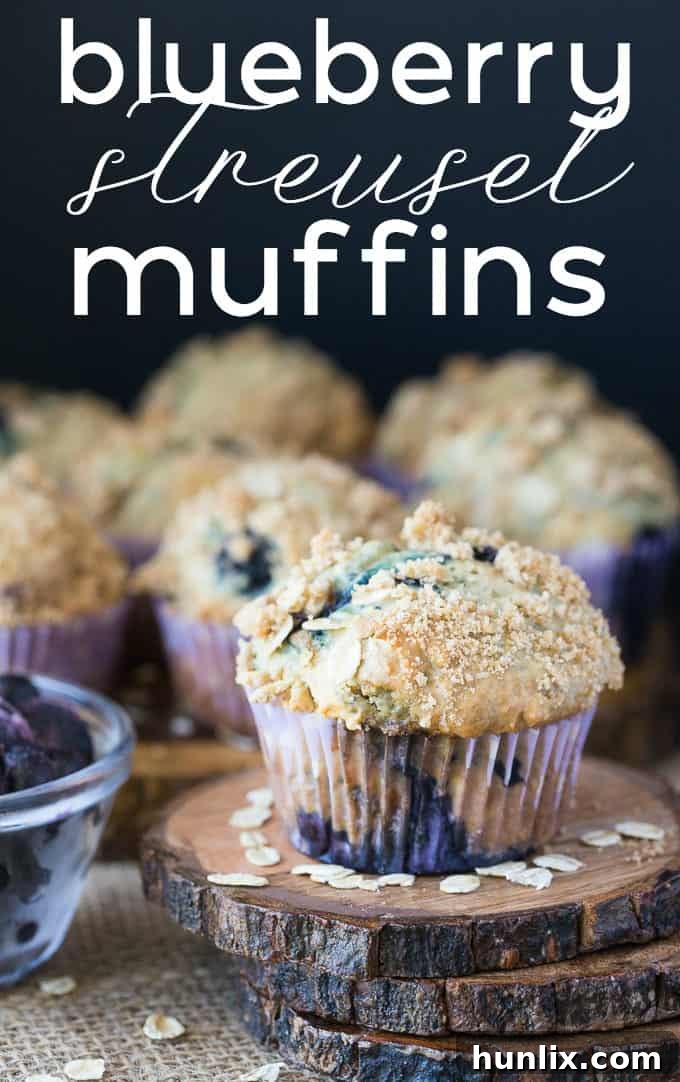 Crumb-Topped Blueberry Muffins 5 Blueberry Streusel Muffins - Cinnamon sugar topping sets these blueberry muffins apart! Packed with sweet blueberries and topped with a crunchy oat topping, these muffins are delicious fresh out of the oven with a little butter.