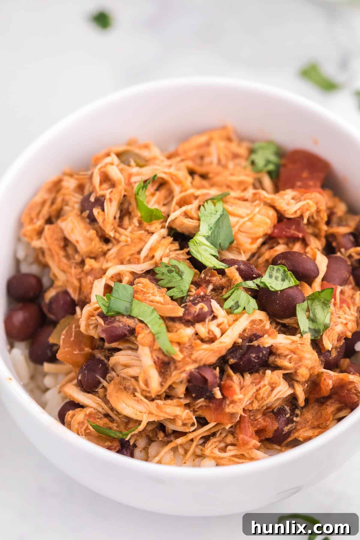 A rustic bowl filled with Slow Cooker Salsa Chicken, garnished with fresh cilantro and a lime wedge.