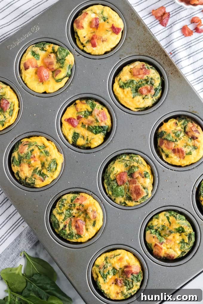 Golden brown spinach and cheese egg muffins arranged neatly in a muffin tin, freshly baked and ready to be enjoyed.