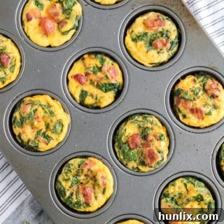 A delicious Spinach & Cheese Egg Muffin, a perfect mini frittata for any meal.