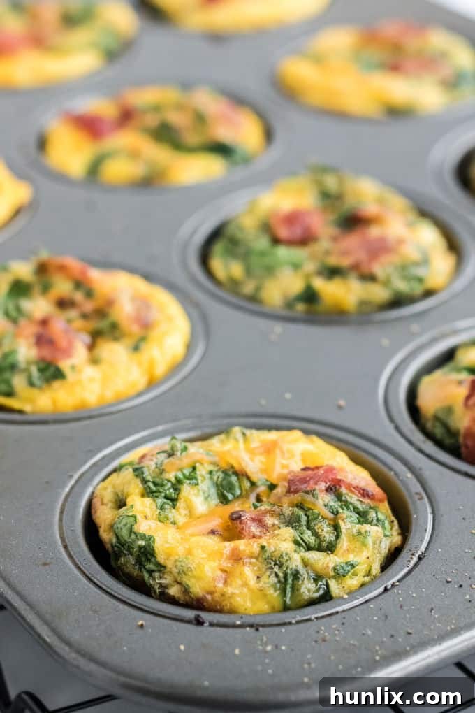 A top-down view of freshly baked spinach and cheese egg muffins arranged beautifully in a muffin pan, showing their golden tops and tempting texture.