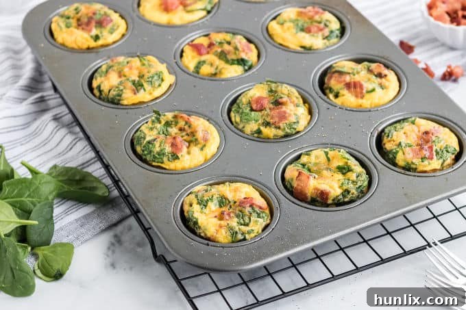 Close-up shot of spinach and cheese egg muffins still in the muffin pan, with a golden-brown crust and visible spinach and cheese.