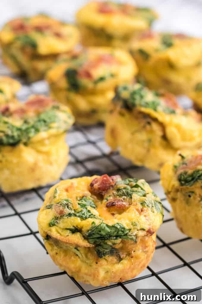 Cooked spinach and cheese egg muffins cooling on a wire rack after being carefully removed from the muffin pan.